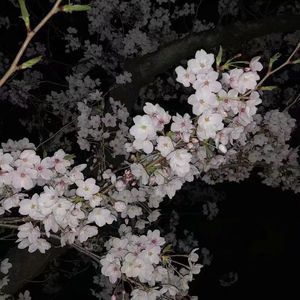 军人XXXⅩ做受军人Gay漫画
